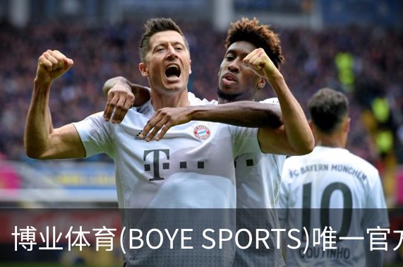 了解博业体育(BOYE SPORTS)唯一官方网站